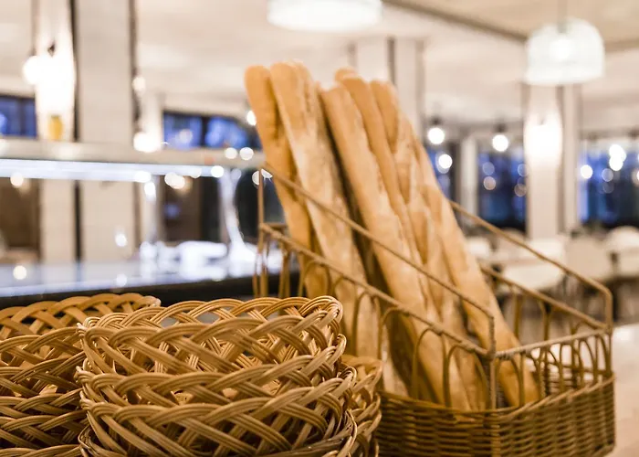 酒店 阿卡普尔科酒店 4*